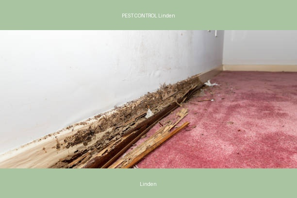 PEST CONTROL Linden
